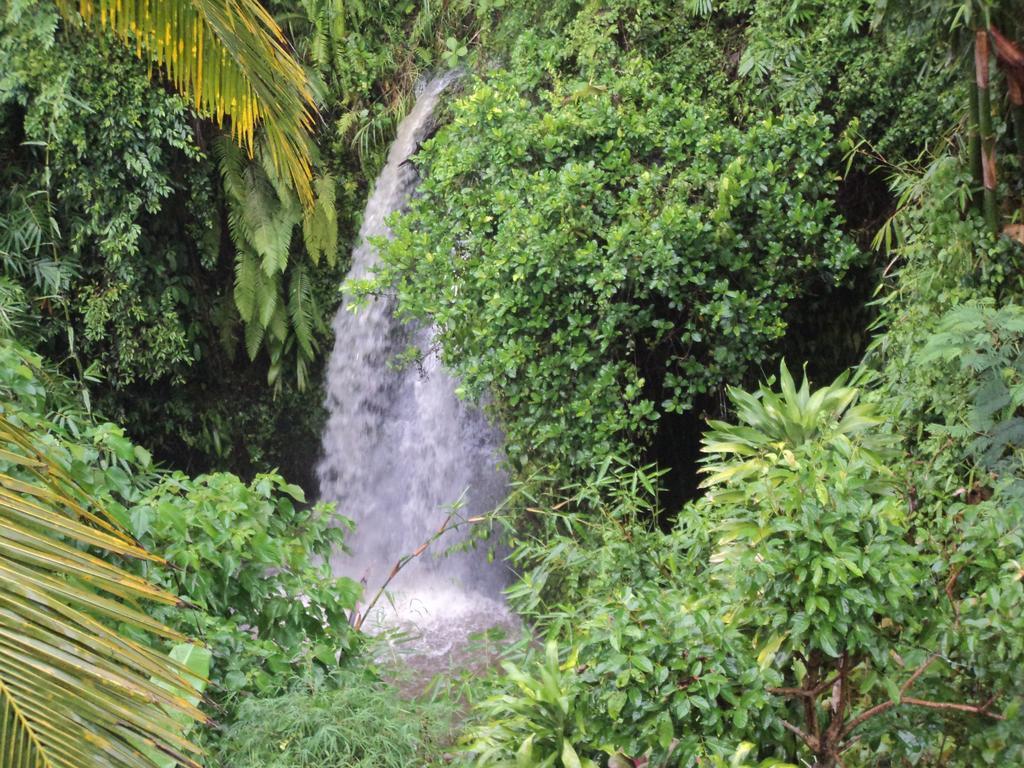 White Lotus Oasis Hotel Ubud  Room photo