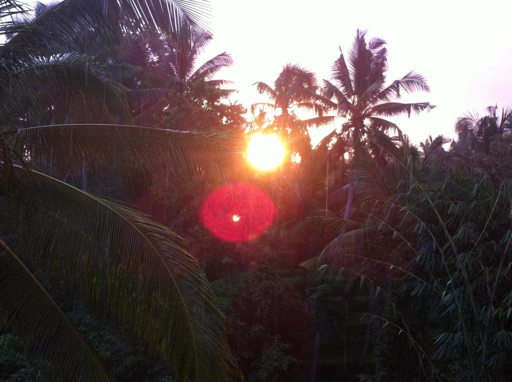 White Lotus Oasis Hotel Ubud  Exterior photo